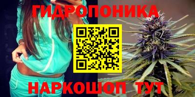 spice Лесосибирск