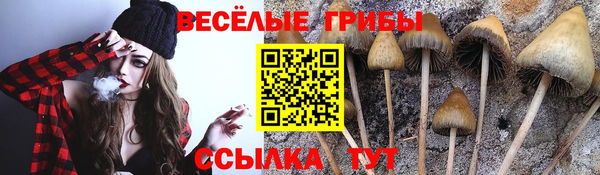 Ковров  Галлюциногенные грибы ЛСД  Вход с VPN 